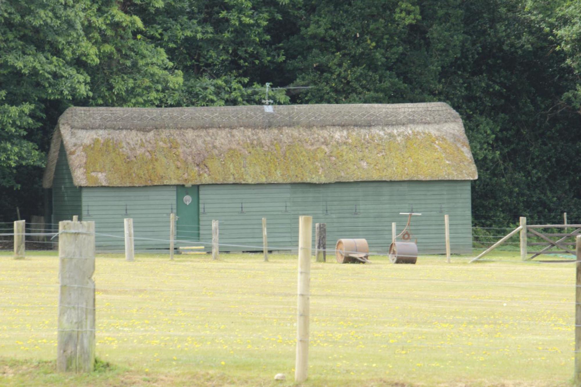 Avondale New Forest Godshill  Dış mekan fotoğraf