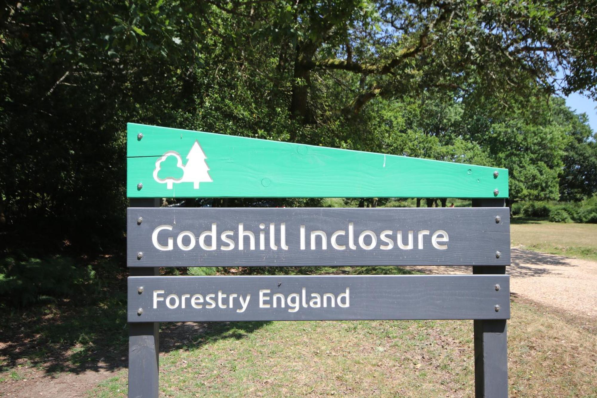 Avondale New Forest Godshill  Dış mekan fotoğraf