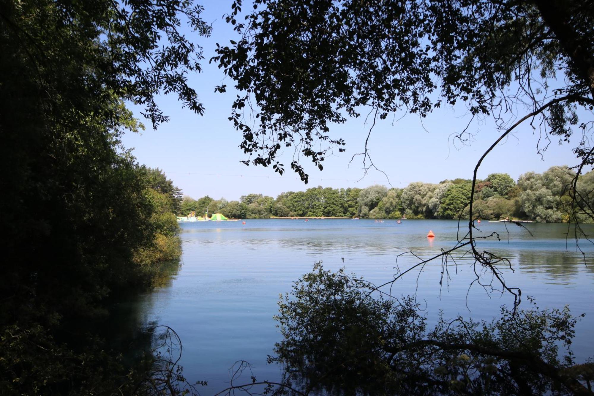 Avondale New Forest Godshill  Dış mekan fotoğraf